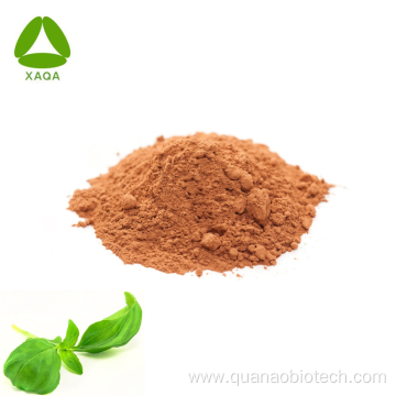 Organic Herb Holy Basil Leaf Extract 10:1 Powder